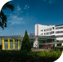 Allee grüner Bäume, die zum pink gerahmten Haupteingang der Allgemeinen Klinik der Segeberger Kliniken führt.