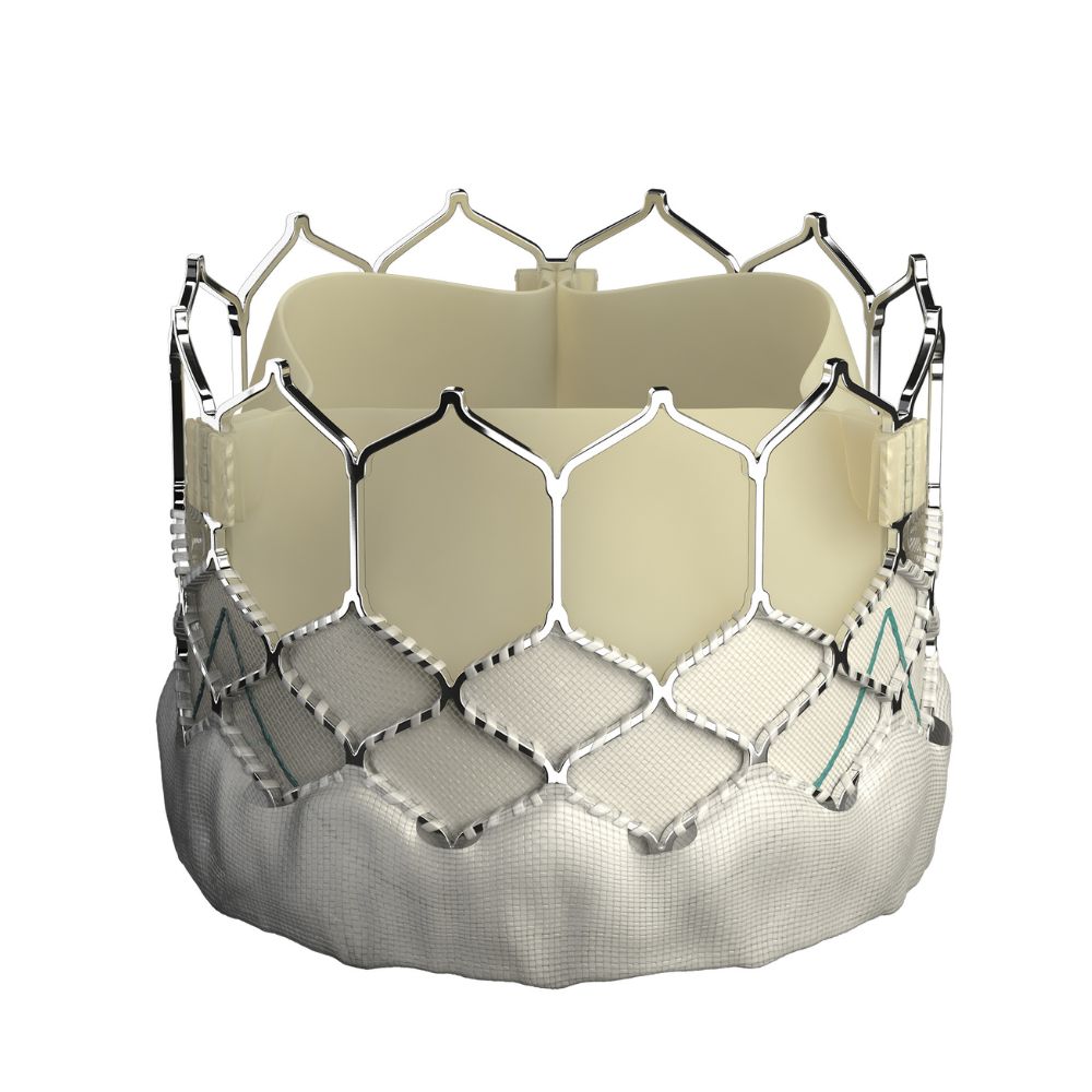 Herzklappensystem der Marke Edwards: rundlich breit